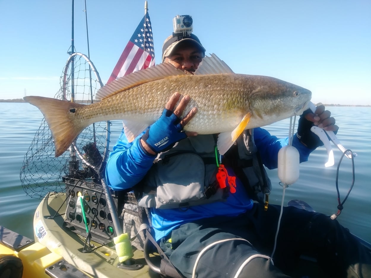 Redfish catch