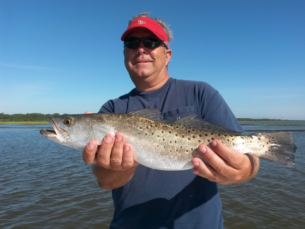 Trout catch