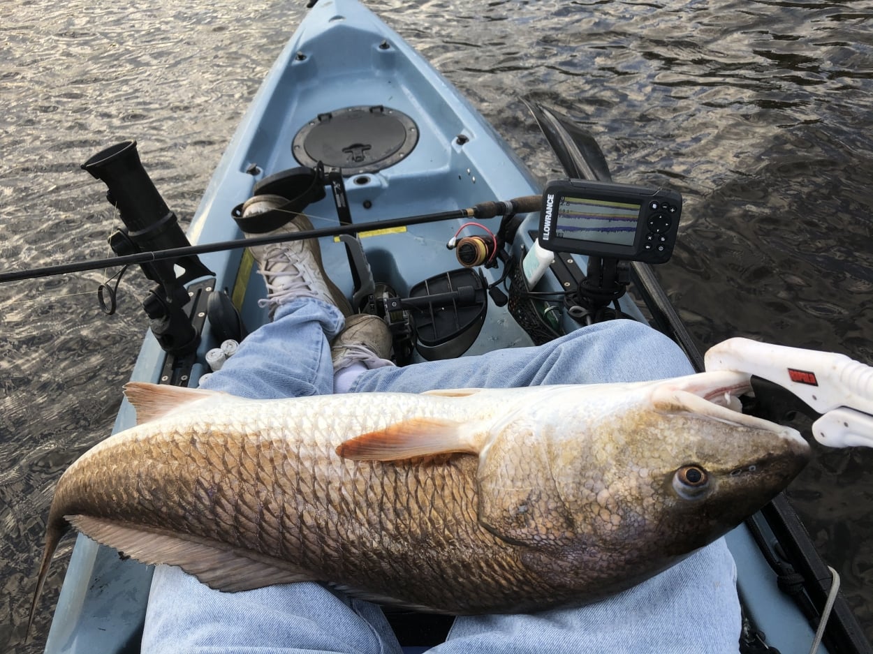 Kayak redfish